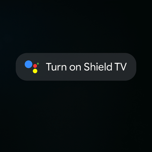 Google Assistant command overlay on Shield TV screen